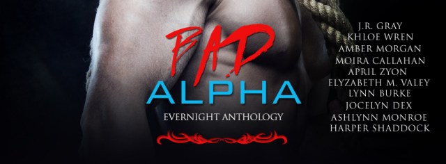 BadAlhaMF-evernightpublishing-jayaheer2015-banner (1)